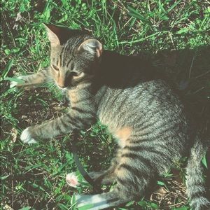 Meet your Posher, Stacy